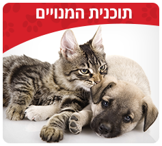 מנויים