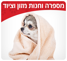 מספרה