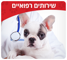 שירותים